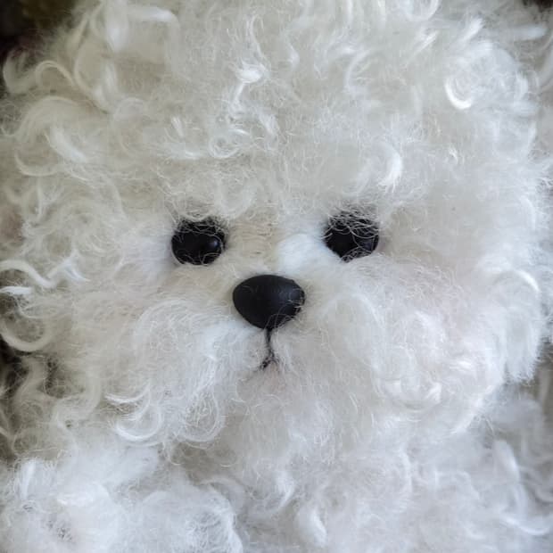 테디테일즈 레나비숑 s 20cm