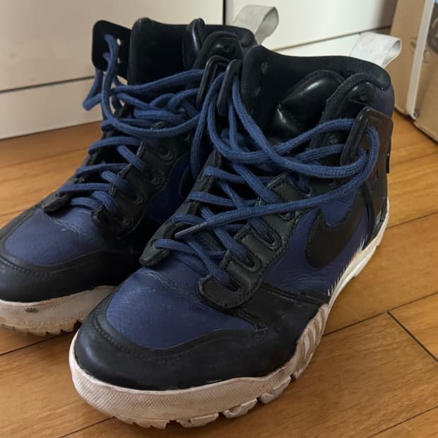 나이키 언더커버 정글 덩크 250 (블랙, 블루)