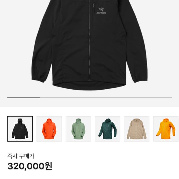 아크테릭스 스쿼미시 후디 블랙