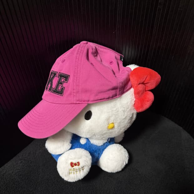 나이키 빈티지 캡