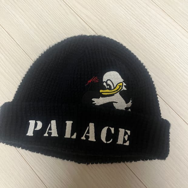 팔라스 오리 비니 판매