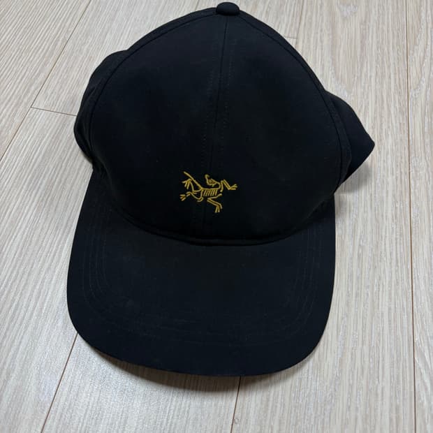 아크테릭스 스몰 버드 볼캡
