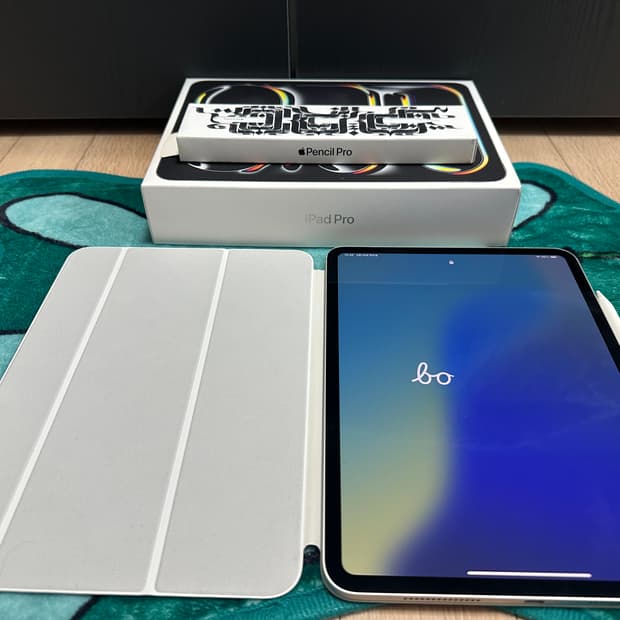 아이패드 프로 m4 실버 256+ 애플펜슬 프로 + 정품 케이스