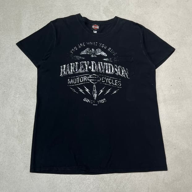 할리데이비슨 헤인즈 프린팅 반팔티 s10703