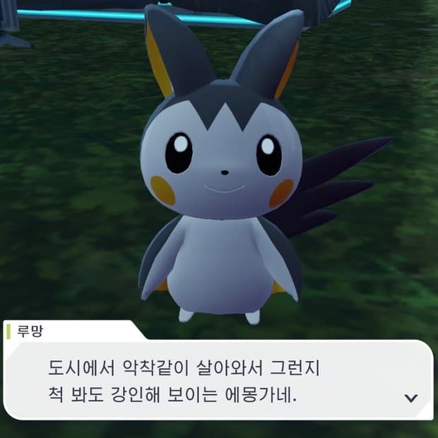 니콘 쿨픽스 p5100