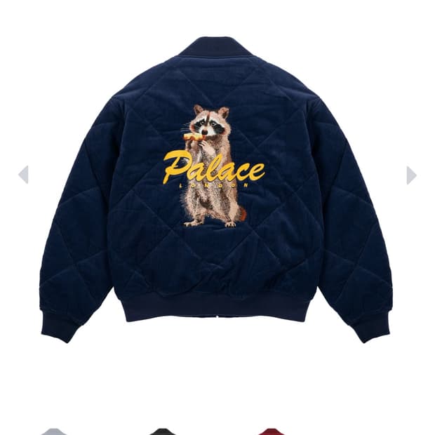 팔라스 라쿤 미디움 새상품