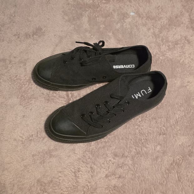 Fumito ganryu x convers