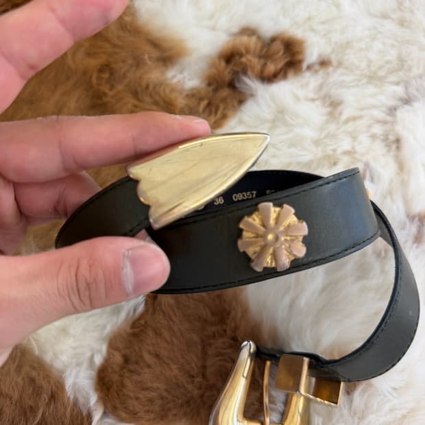 western belt ( Made in W. Germany )