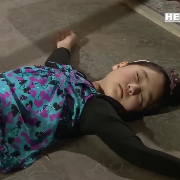 (2)폴리테루 해칭룸 싸게 구매합니다