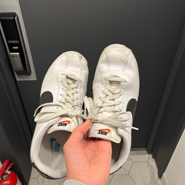 나이키 코르테즈