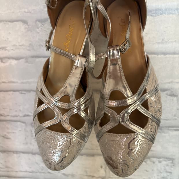 Silver Dancing shoes 