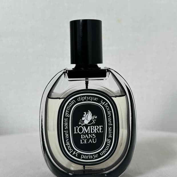 딥디크 롬브르단로