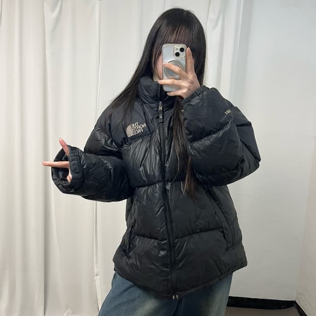 The North Face Black Nuptse 700 Padding