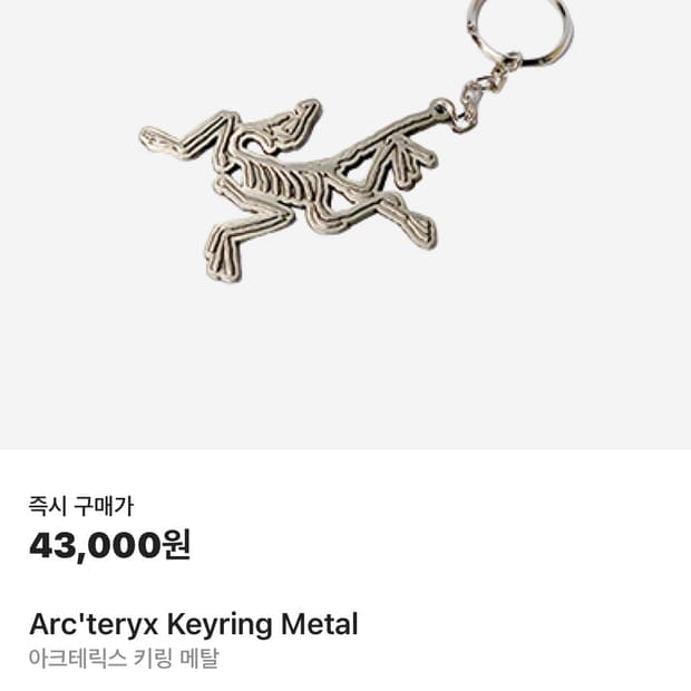 아크테릭스 키링