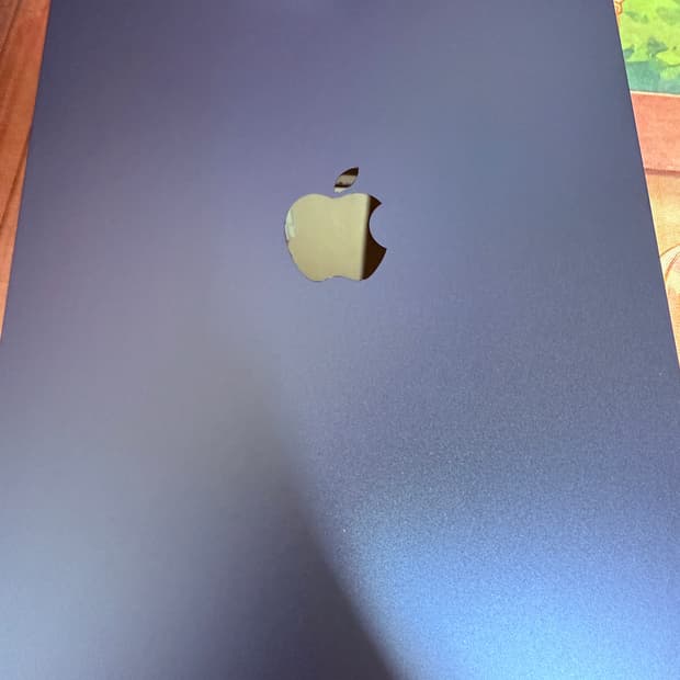 아이패드 A16 11세대 256g 블루