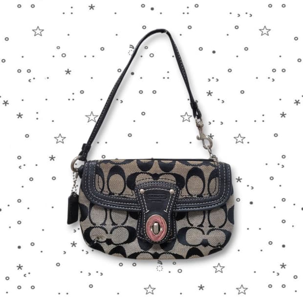 COACH 코치 시그니처 미니 파우치 디카 파우치