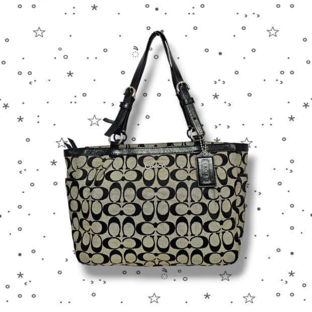 COACH 코치 시그니처 캔버스 토트백