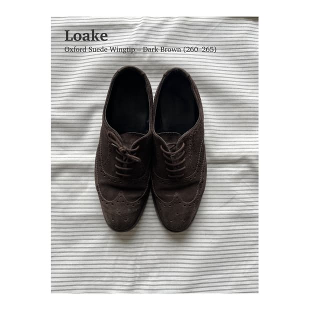 로크 옥스포드 스웨이드 윙팁 (260-265)