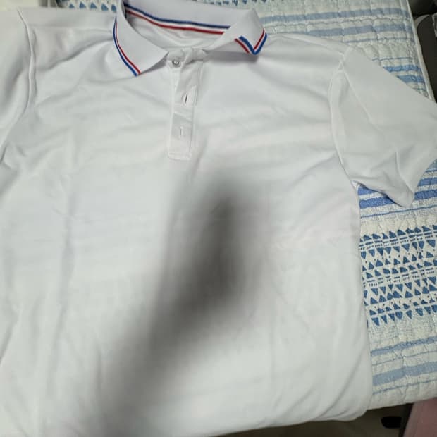 화이트 카라 반팔티
