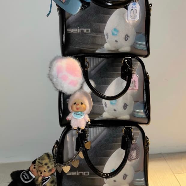 오늘하루) 세이노 seino Magical handbag 지초이