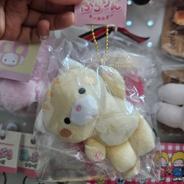 손을 든 동물 (고양이/킹콩/여우)