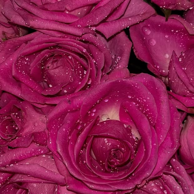 개인 결제창💎