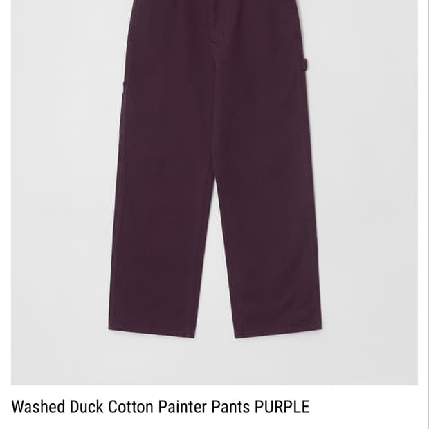 Passer Washed Duck Cotton Painter Pants