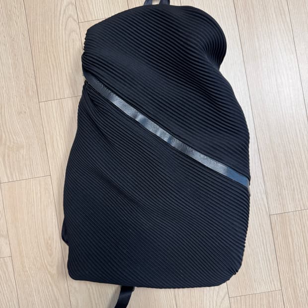 이세이미야케 백팩