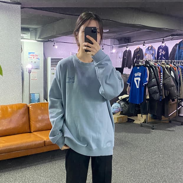 아크테릭스 스몰로고 스카이 스웻 B3167