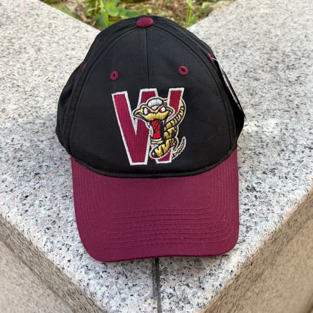 (deadstock) Vtg 빈티지 MLB 팀버 래틀러스 볼캡