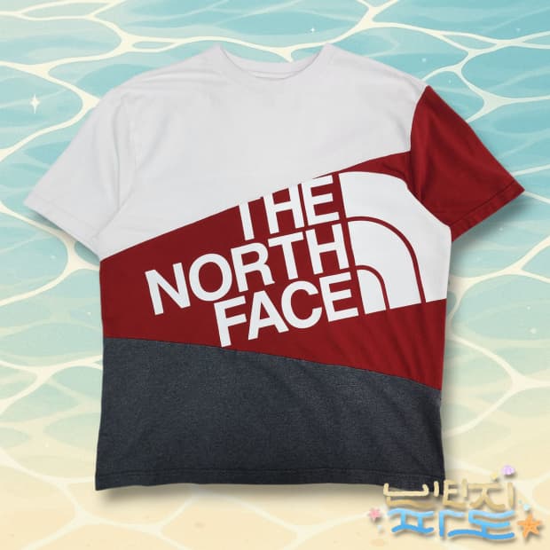 105 THE NORTH FACE 반팔티