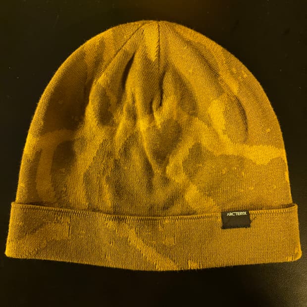 아크테릭스 비니