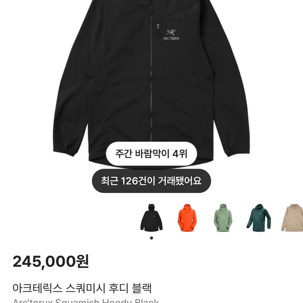 아크테릭스 스쿼미시 후디 블랙 m 팝니다