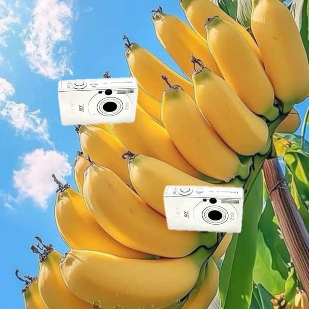 강추&필름색감!) Canon IXUS 70 디카 카메라