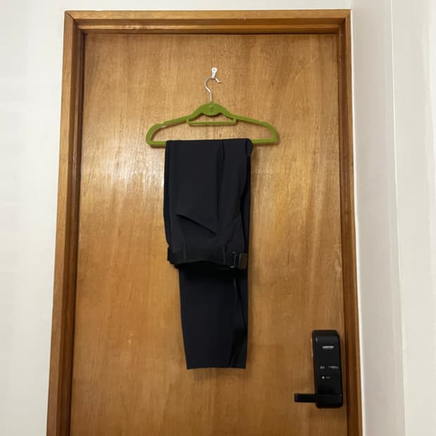 Veilance Voronoi Pant (32)