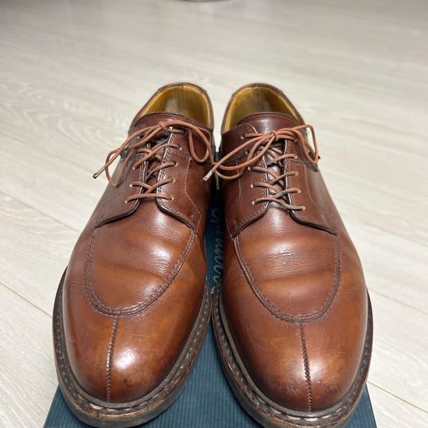 파라부트 아비뇽 마룬