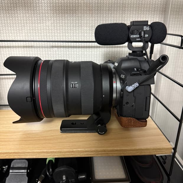 캐논 EOS R6 Mark II , 캐논 RF 28~70mm F2LUSM