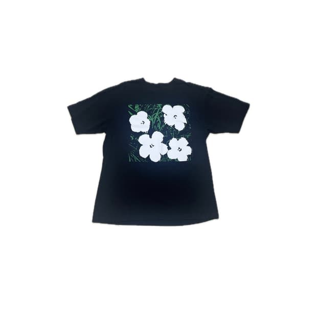 uniqlo UT x Andy Warhol printing t-shirt