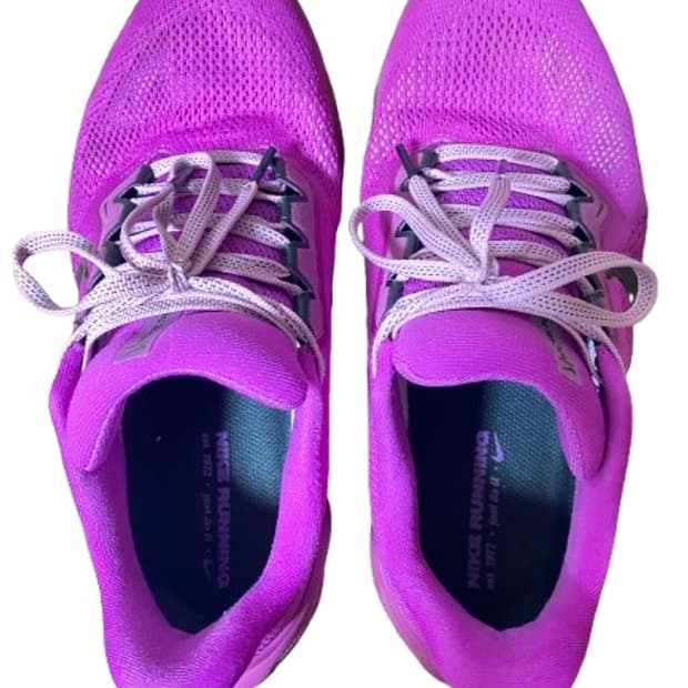 나이키 페가수스