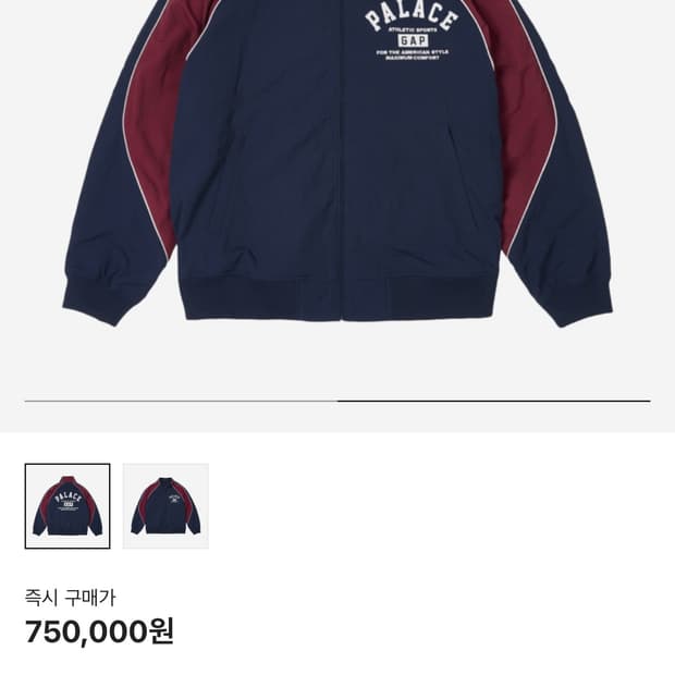 팔라스 갭 나일론 트랙탑 바람막이 L