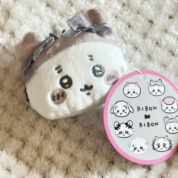 치이카와 카니 동전지갑