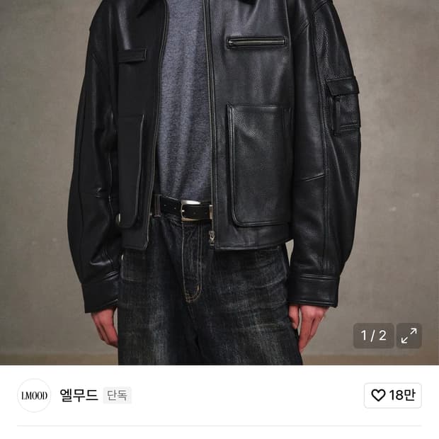 엘무드 데이비슨 카우하이드 레더 자켓 48