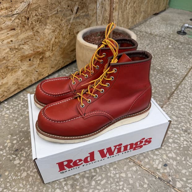 레드윙 아이리쉬 세터 8875 9E