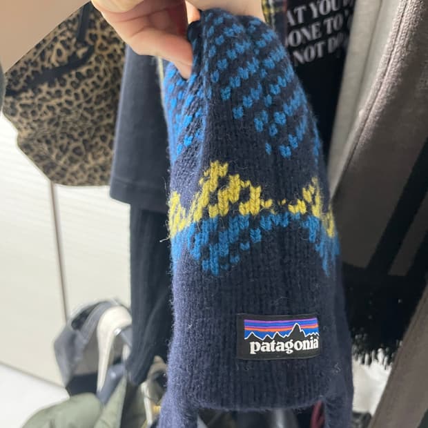 파타고니아 비니