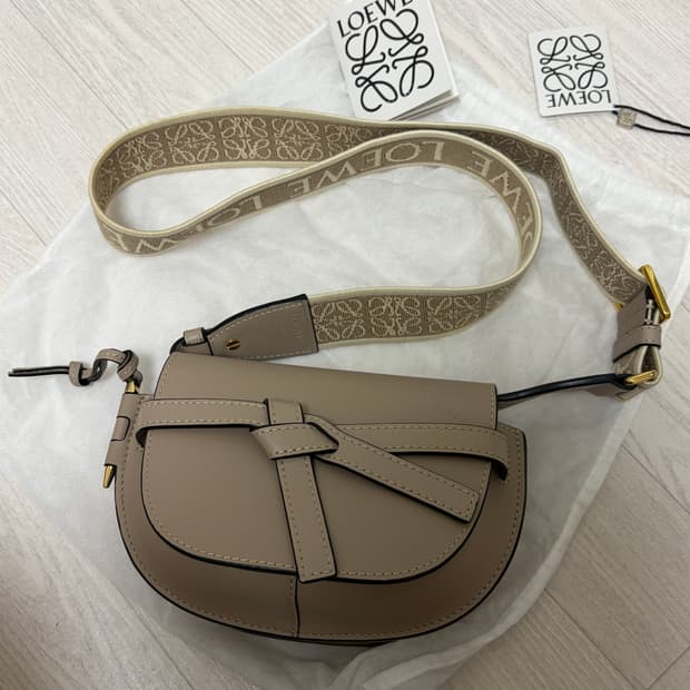 로에베 게이트백 미니