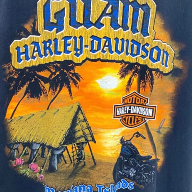 HARLEY DAVIDSON 괌 슬리브리스
