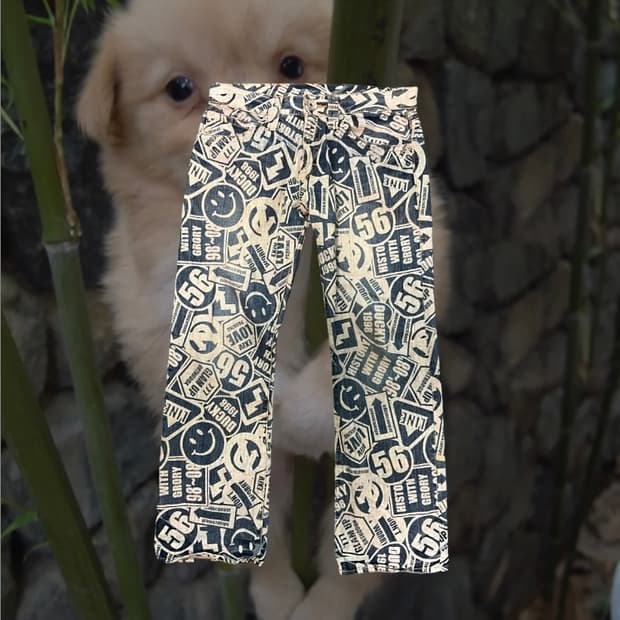 CO&LU Rock Funki pants 데님 팬츠 y2k 힙 JPN