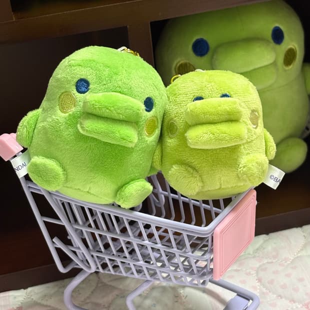 쿠치파치 주댕치 다마고치 니코누이