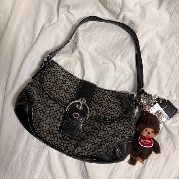 Coach shoulder bag