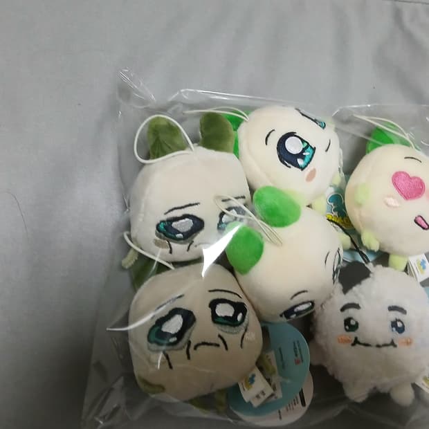 양파쿵야 모음zip 낱개,일괄 ㄱㄴ